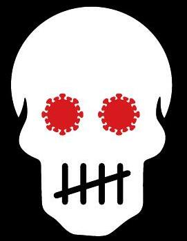 THE REAL TOLL OF COVID IN INDIA